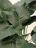 Alocasia Artificial Plant- 27.5 inch (Natural Feel)