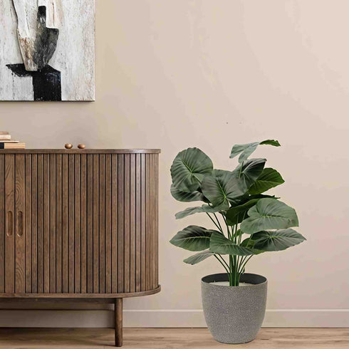 Alocasia Artificial Plant- 27.5 inch (Natural Feel)