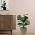 Alocasia Artificial Plant- 27.5 inch (Natural Feel)