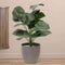 Alocasia Artificial Plant- 27.5 inch (Natural Feel)