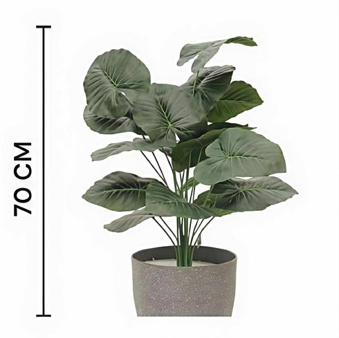 Alocasia Artificial Plant- 27.5 inch (Natural Feel)