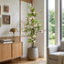 White Cherry Blossom Artificial Plant (Dogwood tree)- 51 inch (Natural feel)
