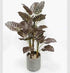 Anthurium Zara Artificial Plant - 48 inch (Natural feel)