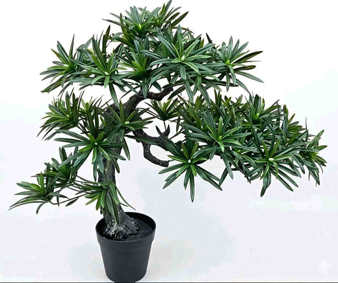 Buddhist Pine Podocarpus Bonsai Artificial Tree - 26 inch (Natural feel)