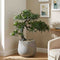 Buddhist Pine Podocarpus Bonsai Artificial Tree - 26 inch (Natural feel)