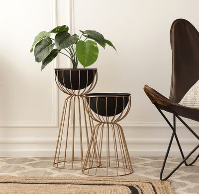 Set of 2- Floor Planter- Black and Gold