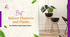 Best Indoor Planters and Plants for Modern Apartment Decor